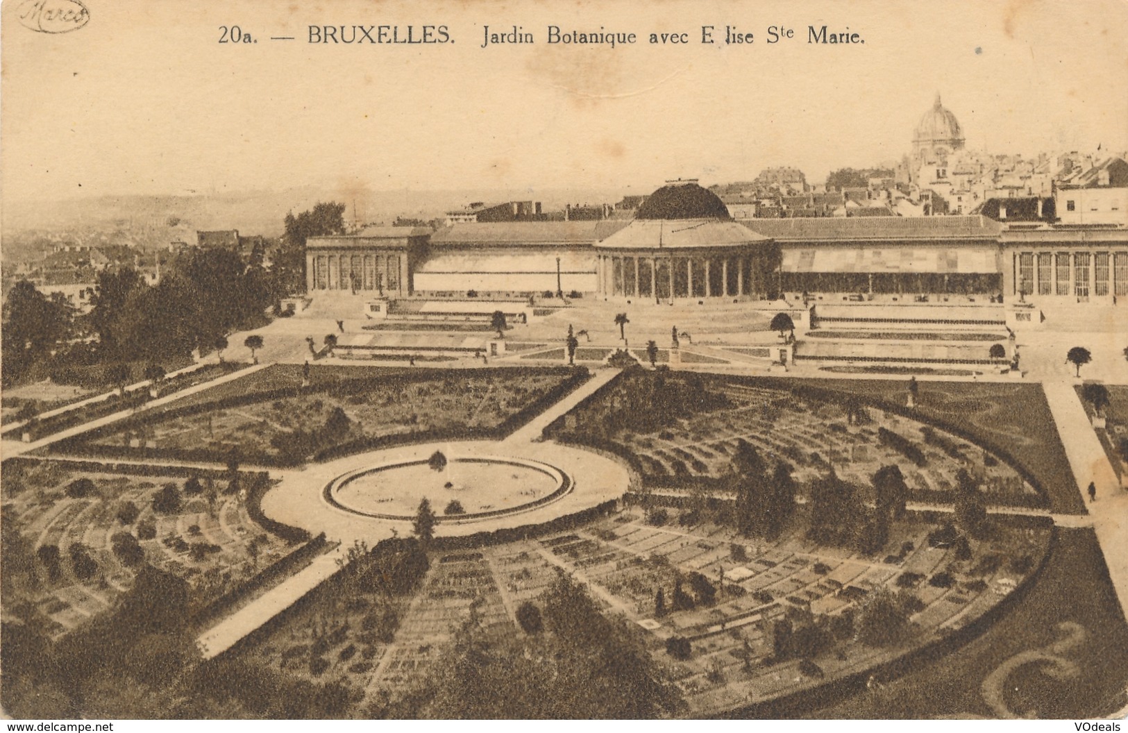 CPA - Belgique - Brussels - Bruxelles - Jardin Botanique - Forêts, Parcs, Jardins