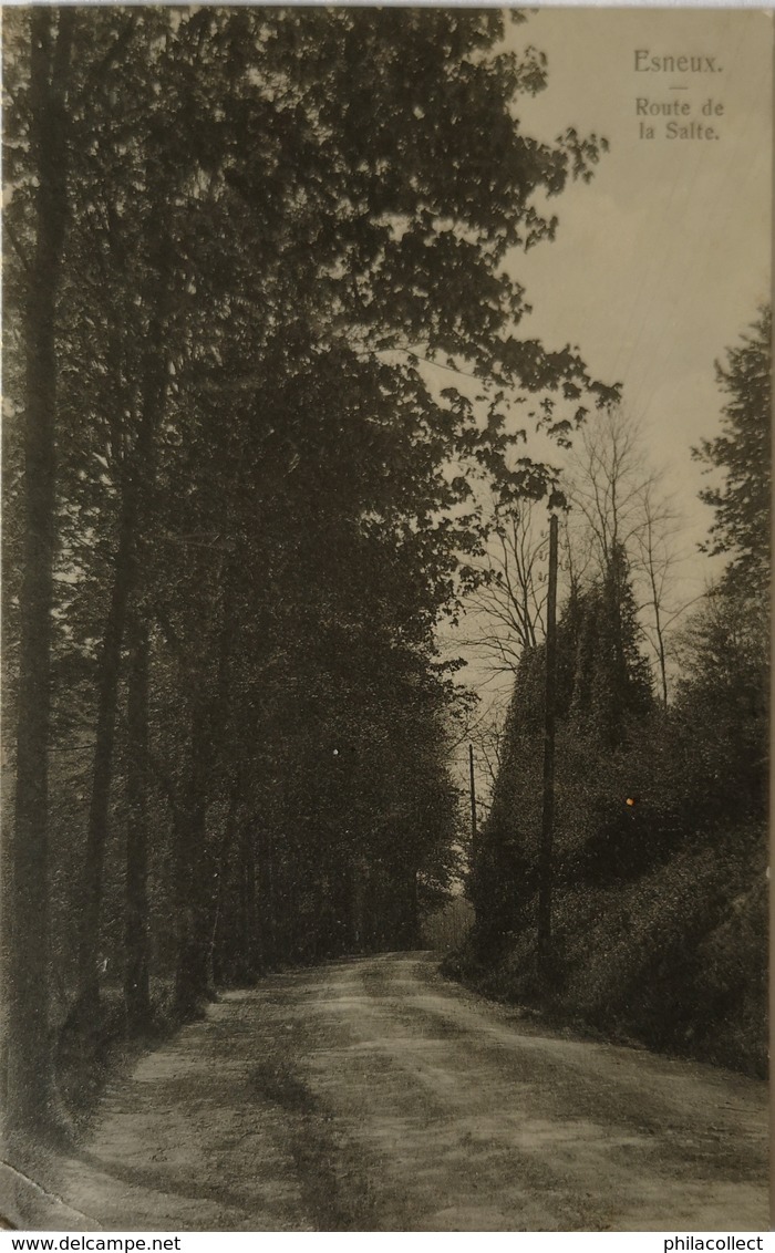 Esneux // Route De La Salte 1911 - Esneux