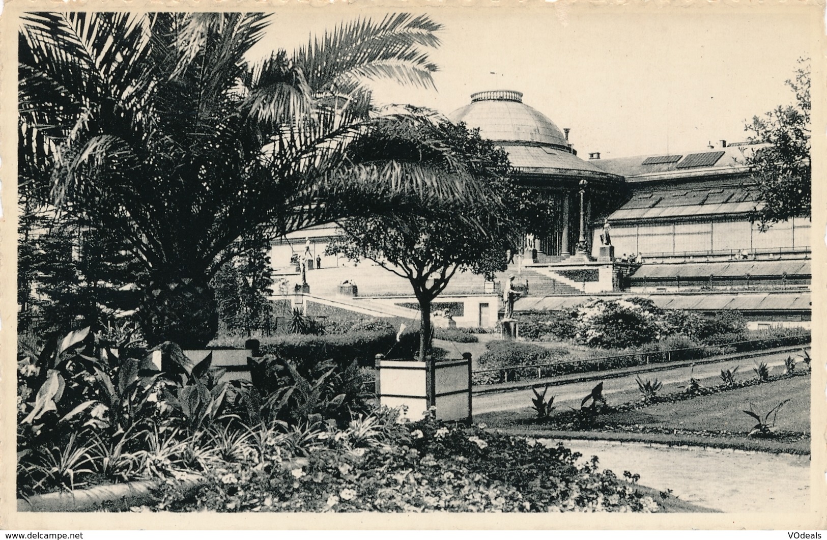 CPSM - Belgique - Brussels - Bruxelles - Jardin Botanique - Forêts, Parcs, Jardins