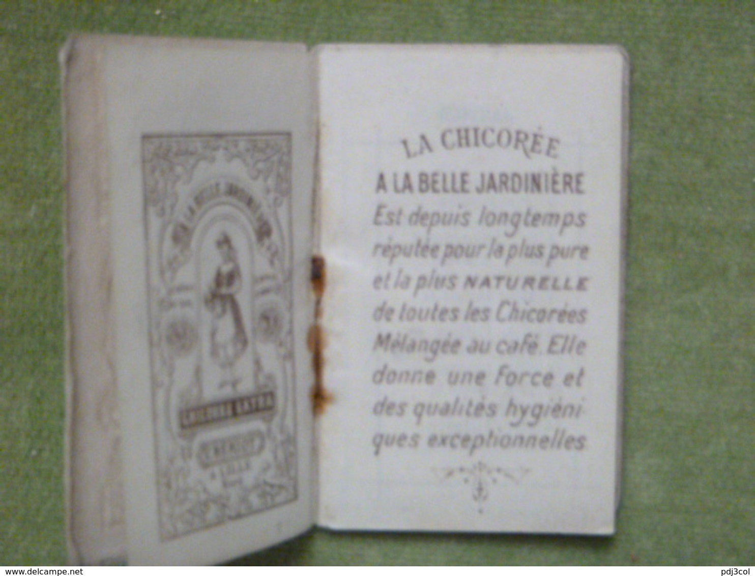 Mini Calendrier - 1908 - Chicorée Extra - A La Belle Jardinière - C. Bériot à Lille - Petit Format : 1901-20