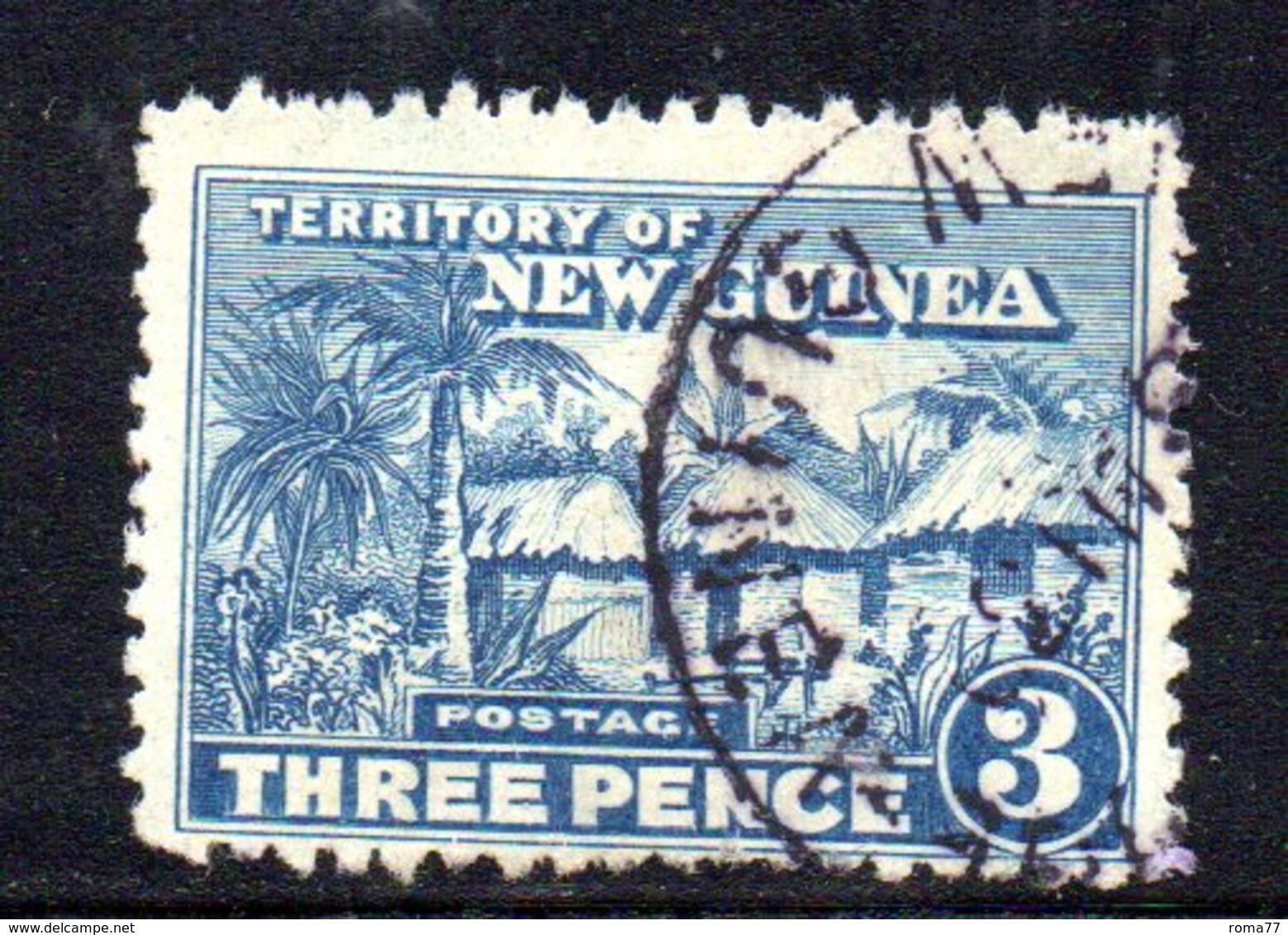 APR1180 - NUOVA GUINEA 1925 ,  Yvert N. 19 Usato  (2380A) I - Papua Nuova Guinea