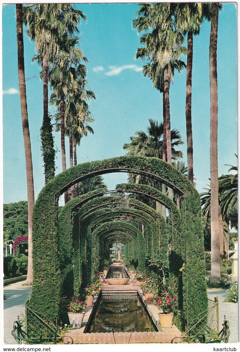 Melilla - Parque Hernández - (Espana/Spain) - 1966 - Melilla