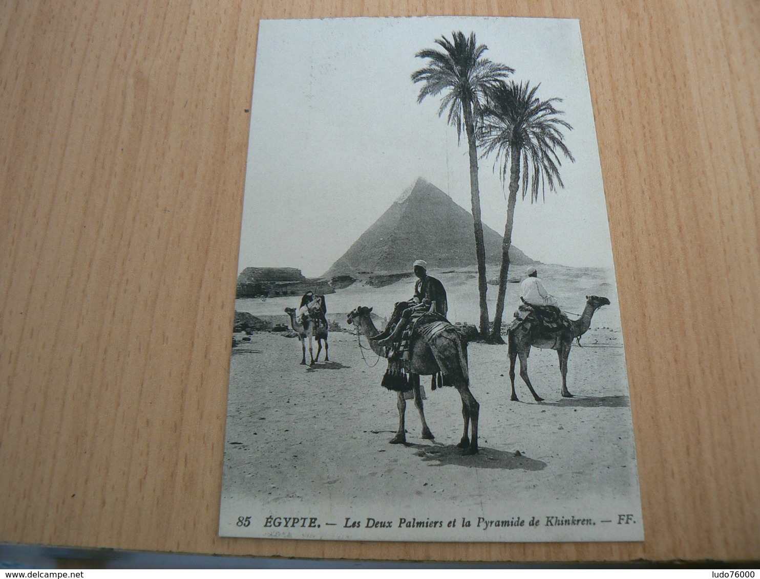 CP01/ EGYPTE LES DEUX PALMIERS ET LA PYRAMIDE DE KHINKREN / CARTE NEUVE - Autres & Non Classés