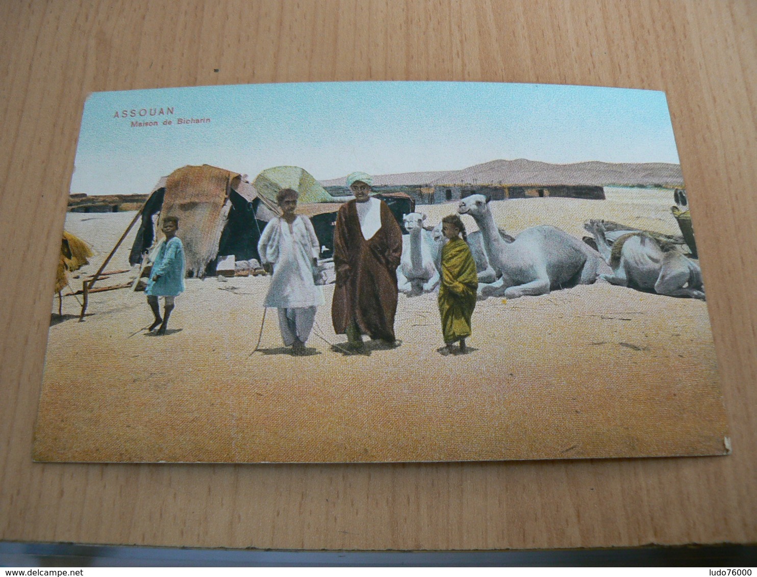 CP01/ EGYPTE ASSOUAN MAISON DE BICHARIN / CARTE NEUVE - Autres & Non Classés