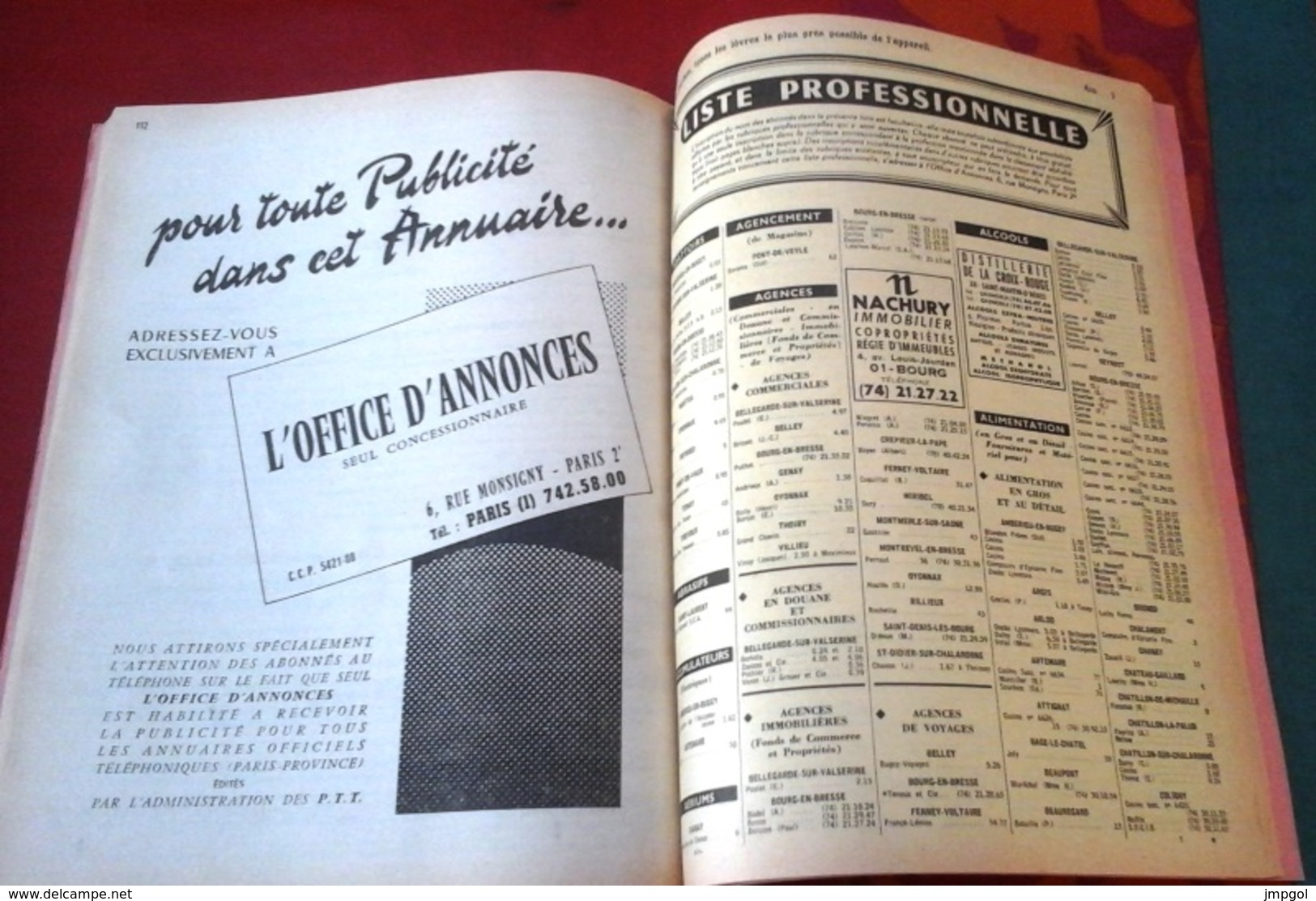 Annuaire Officiel Des Abonnés Au Téléphone AIN 1969 Pages Professionnelles Et Particuliers - Directorios Telefónicos