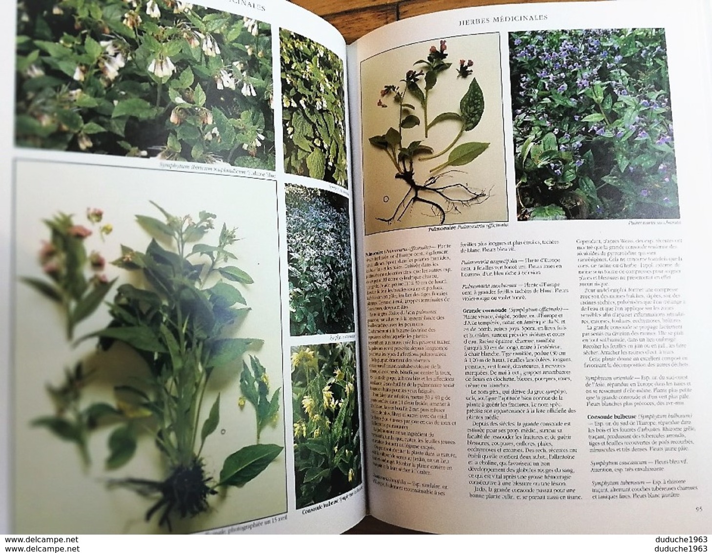 Livre : Herboristerie - Herbes. Cueillette,culture,utilisation - Nature