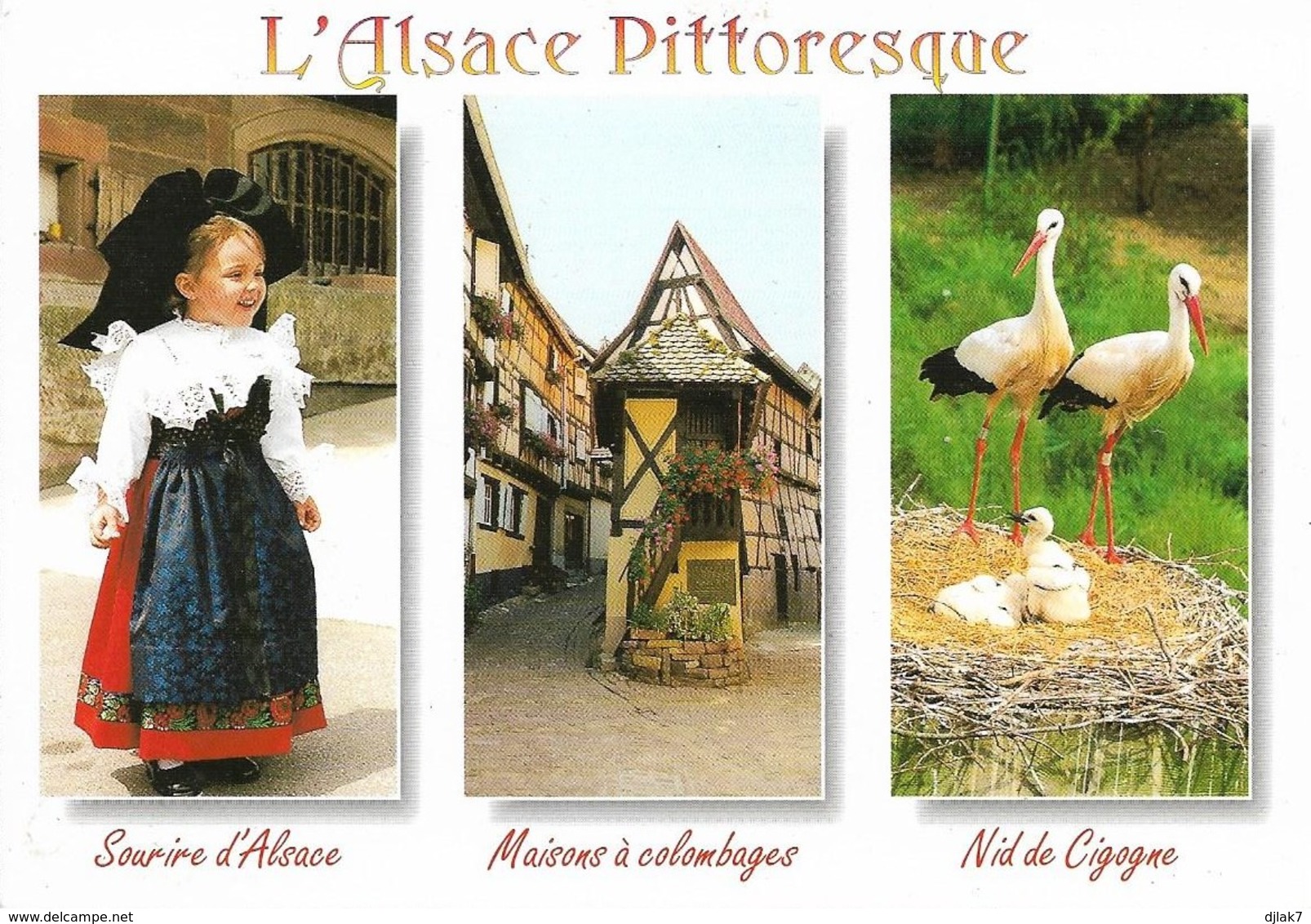 Alsace Pittoresque Divers Aspects (2 Scans) - Alsace