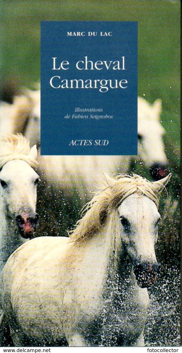 Le Cheval Camargue Par Marc Du Lac (ISBN 2742721762 EAN 9782742721764) - Tiere