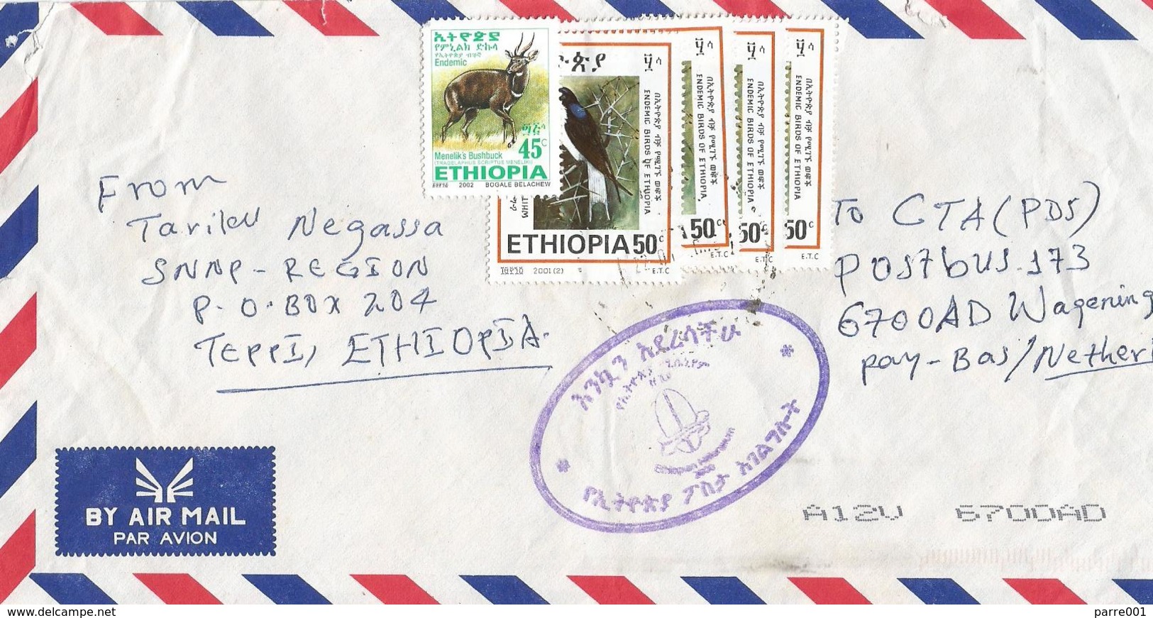 Ethiopia 2007 Teppi Swallow Millennium Cover - Hirondelles