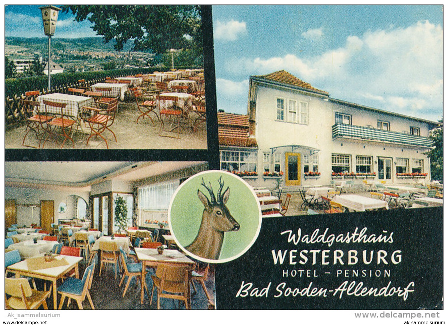 Bad Sooden-Allendorf / Waldgasthaus (D-A132) - Bad Sooden-Allendorf