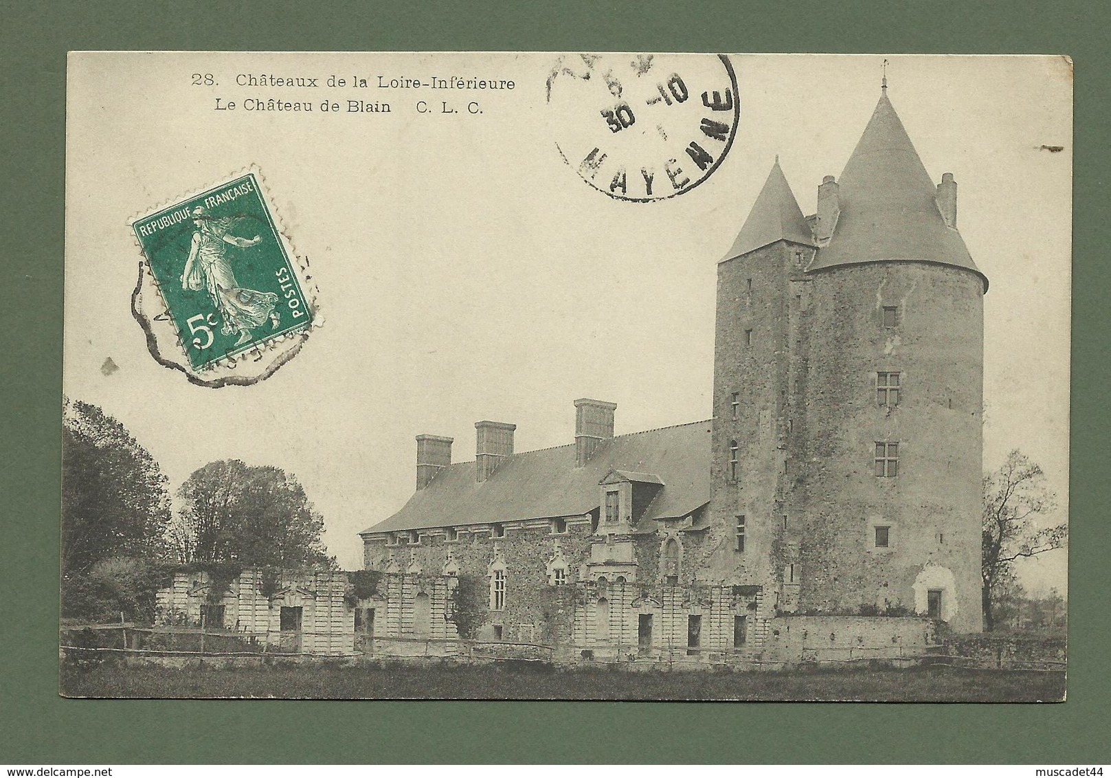 CARTE POSTALE LOIRE ATLANTIQUE  44 CHATEAUX DE LA LOIRE ATLANTIQUE BLAIN - Blain