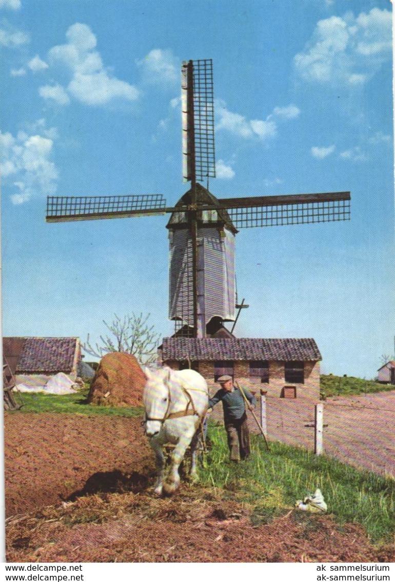 90 AK Mit Motiven Windmühlen / Windmill (Lot068) - Windmills