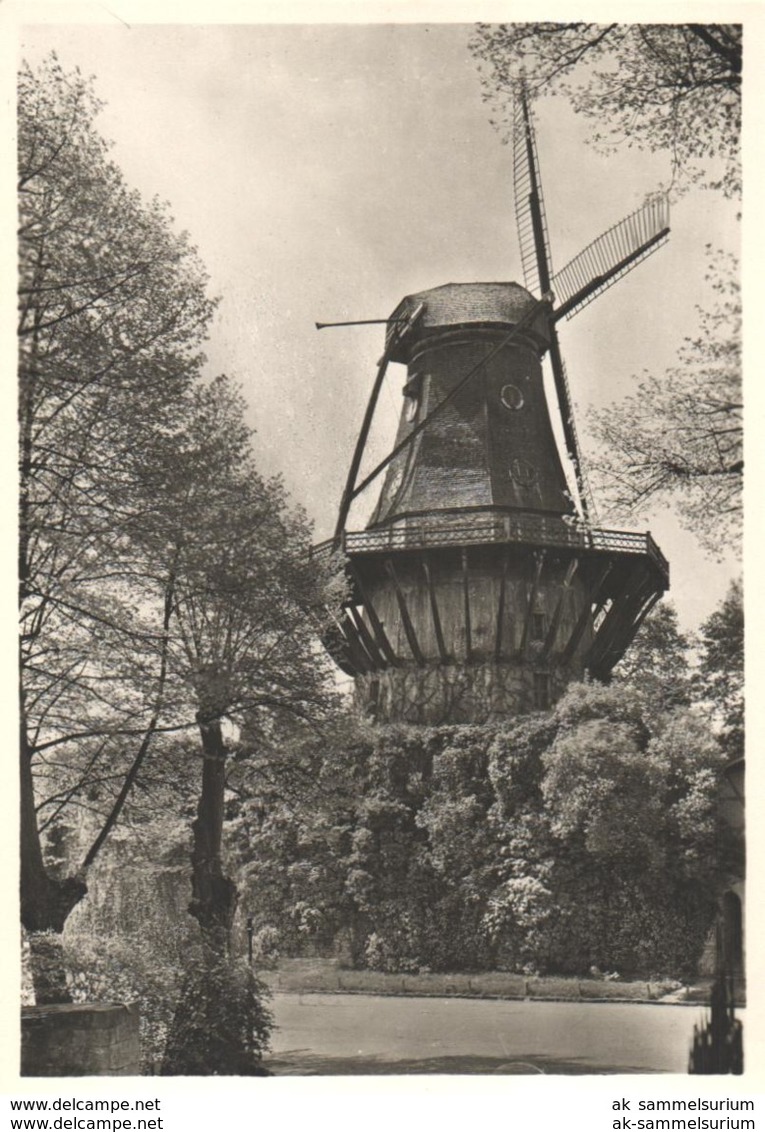 90 AK mit Motiven Windmühlen / Windmill (Lot068)