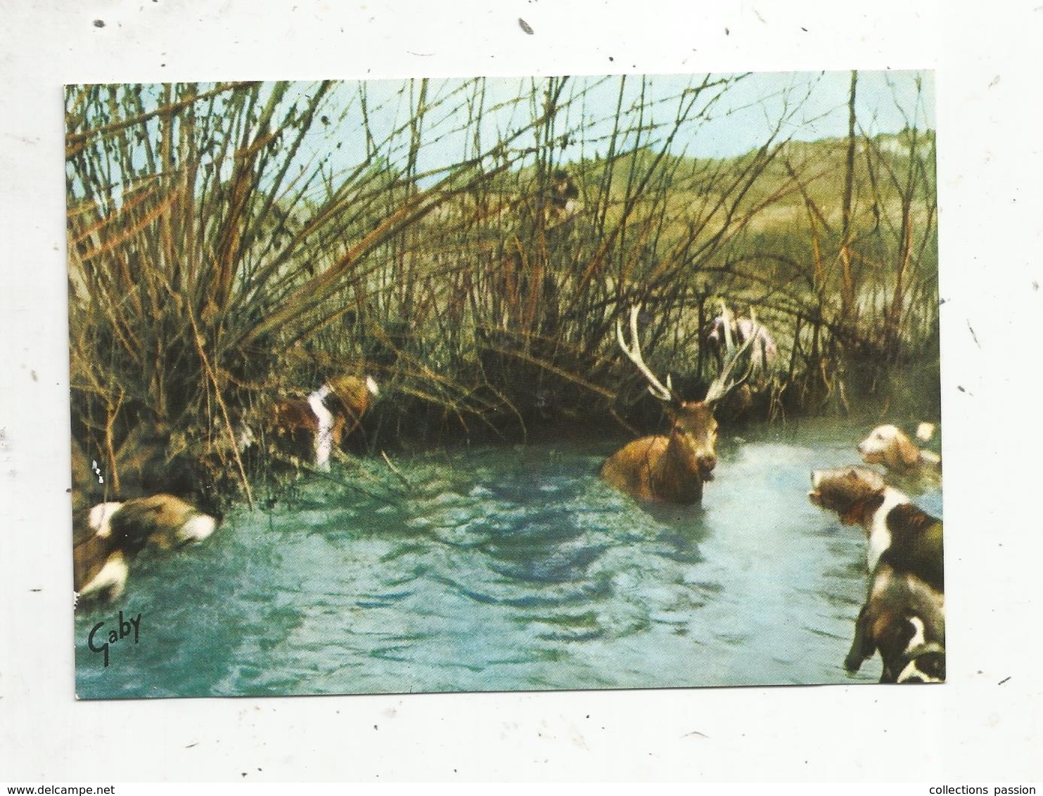 Cp, Sports , CHASSE A COURRE ,  En Forêt... Il S'est Jugé Perdu... A. De Vigny, Vierge - Hunting