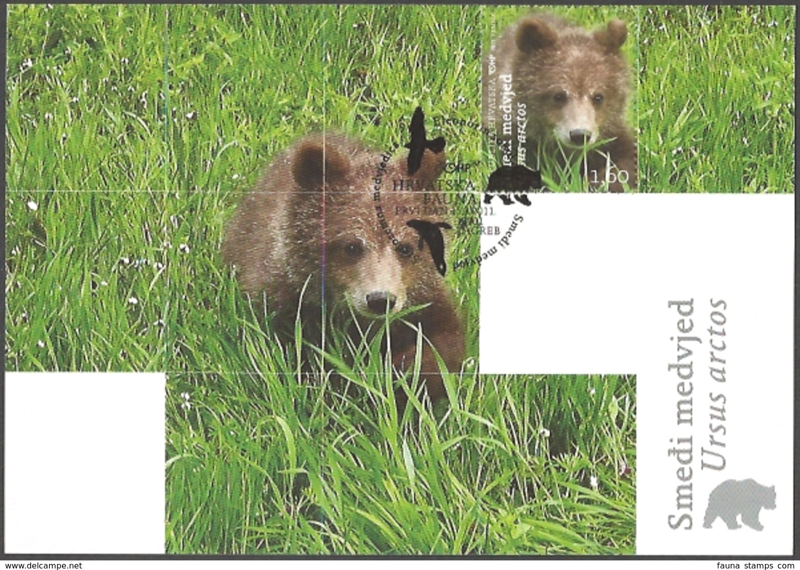 Croatia - Croatian Fauna - Brown Bear, Maximum Card, 2011 - Bären
