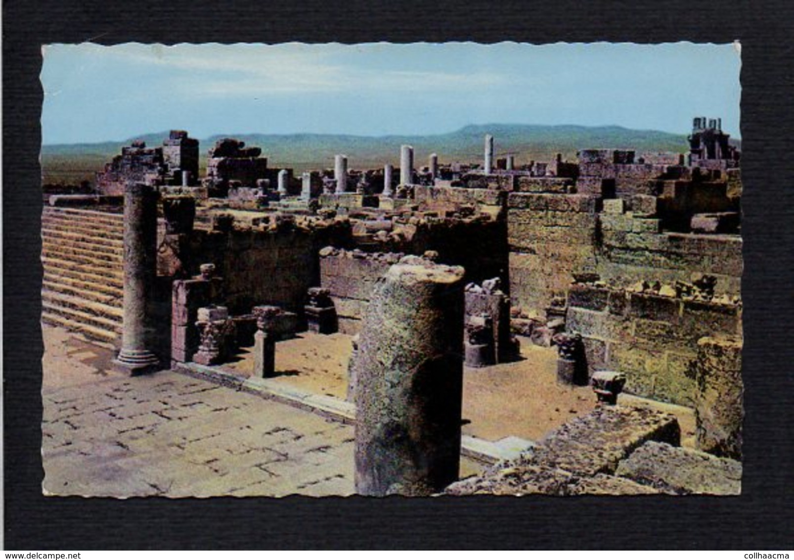 Algérie  / Tébessa ( Bône ) / Les Ruines De La Basilique Romaine - Tébessa