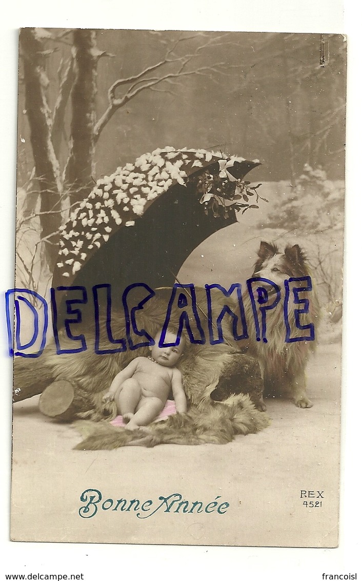 Bonne Année. Photographie Montage. Bébé, Chien (Coolie, Berger écossais) Et Parapluie Dans La Neige. REX  1912 - Nouvel An