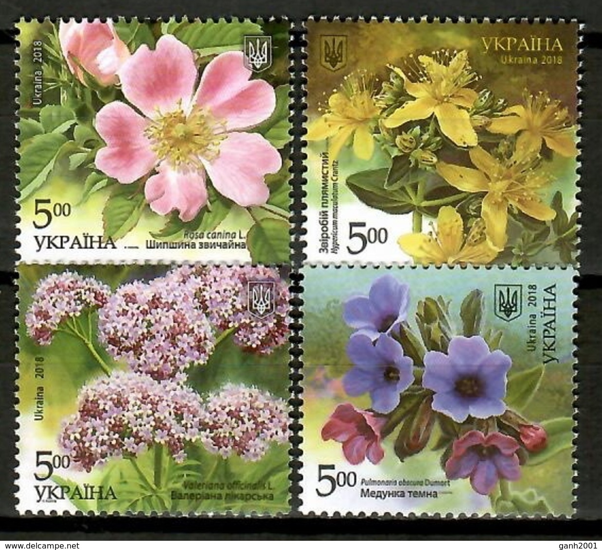 Ukraine 2018 Ucrania / Flowers MNH Blumen Flores Fleurs / Cu13224  1 - Otros & Sin Clasificación