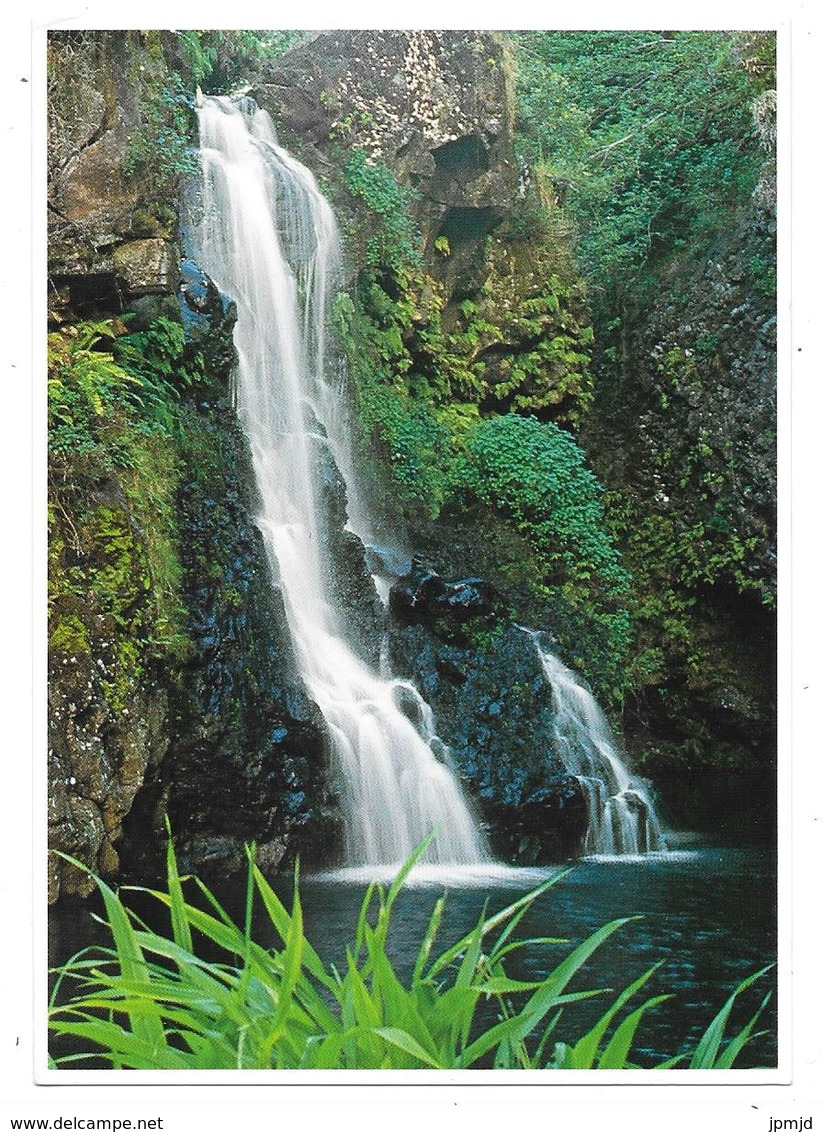 On The Road To Hana One Of MAUI's Many Waterfalls - 1992 - Maui