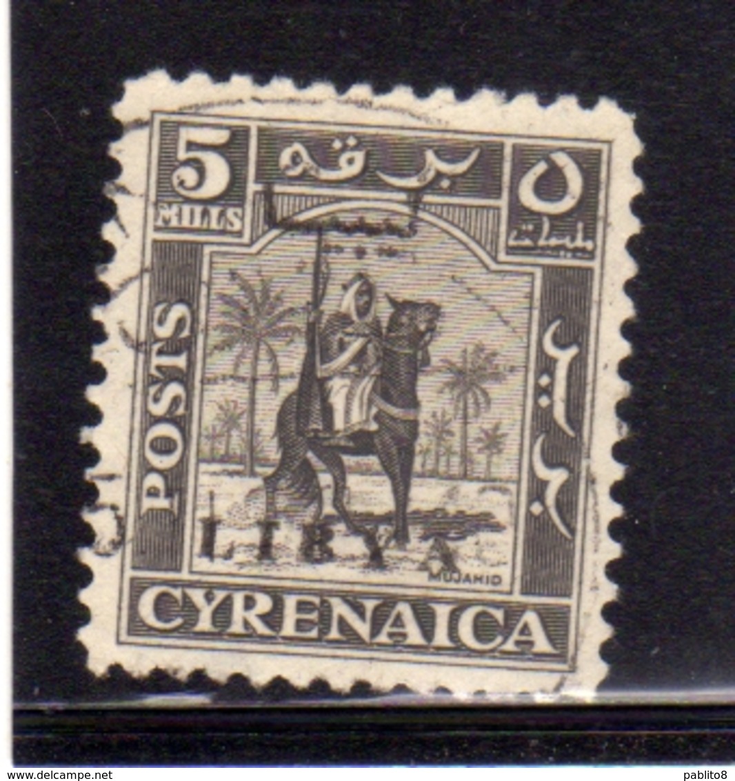 LIBIA LIBYA 1951 REGNO INDIPENDENTE EMISSIONE PER LA CIRENAICA CYRENAICA 5m USATO USED OBLITERE' - Libya