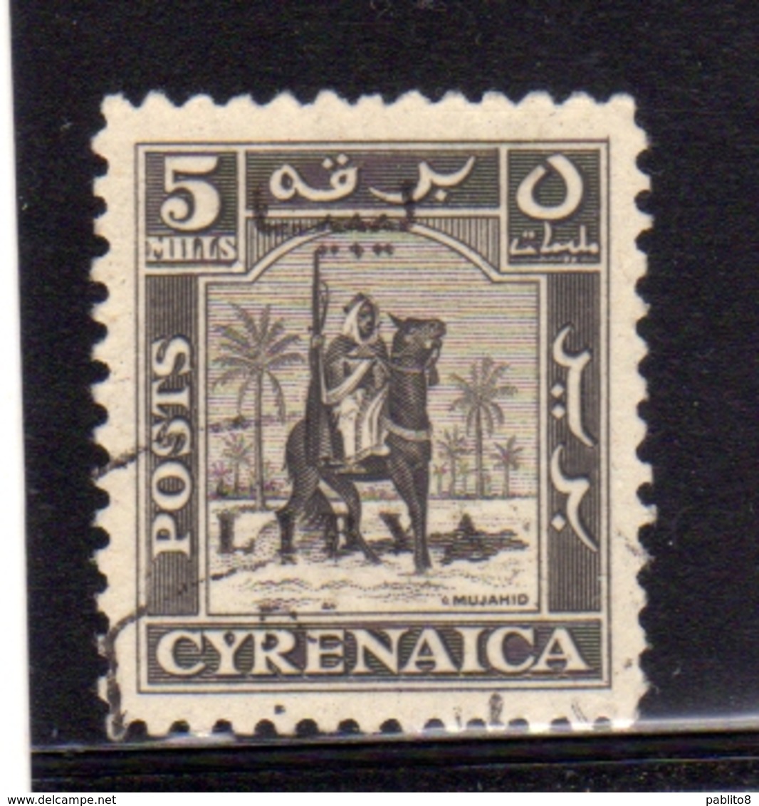 LIBIA LIBYA 1951 REGNO INDIPENDENTE EMISSIONE PER LA CIRENAICA CYRENAICA 5m USATO USED OBLITERE' - Libya