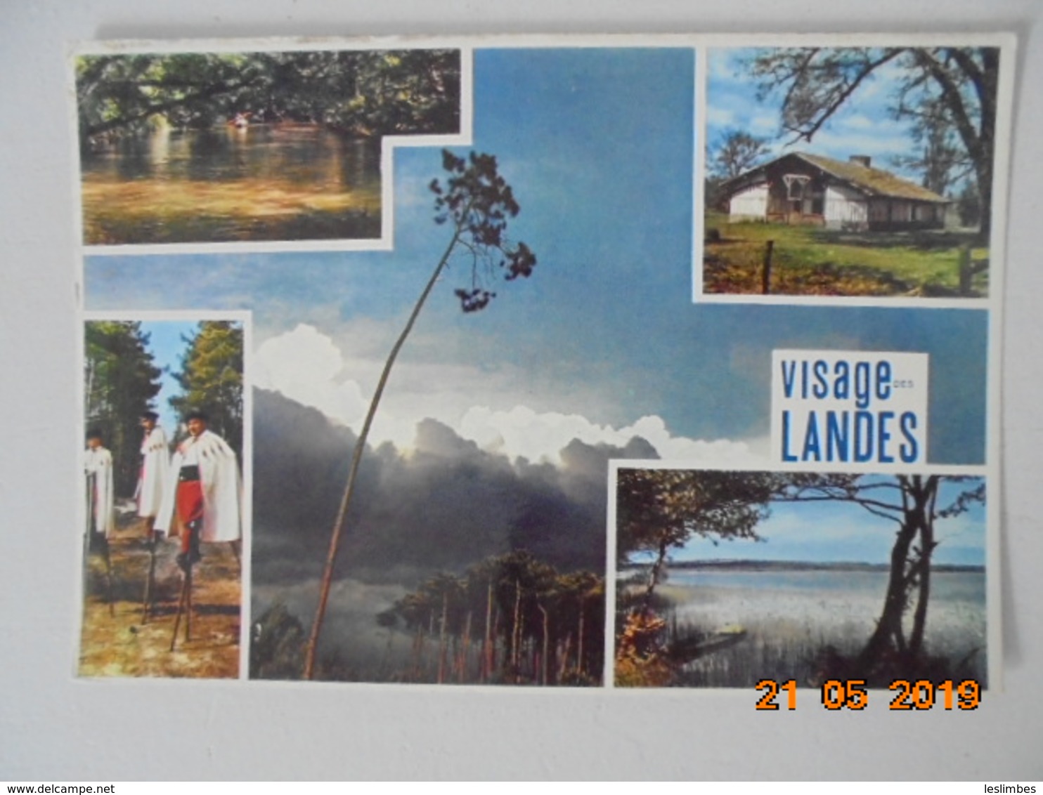 Visage Des Landes.  Theojac 40/277 Postmarked 1971. - Other & Unclassified