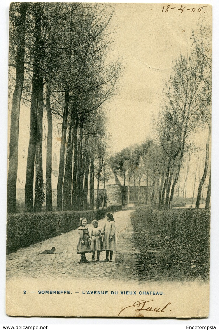 CPA - Carte Postale - Belgique - Sombreffe - L'Avenue Du Vieux Château  (C8676) - Sombreffe