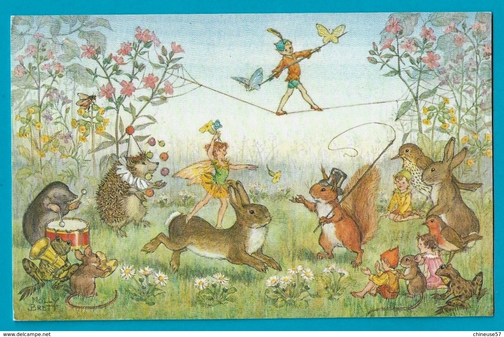 Illustrateur Molly Brett Pixie Circus - Lapin,écureuil,hérisson,oiseaux,crapaud,papillons,enfants - Autres & Non Classés