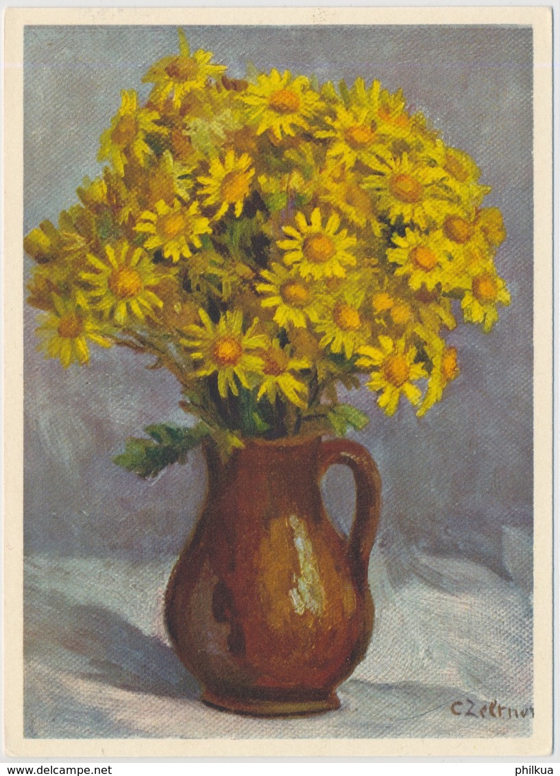 Jakobs-Kreuzkraut - Flowers