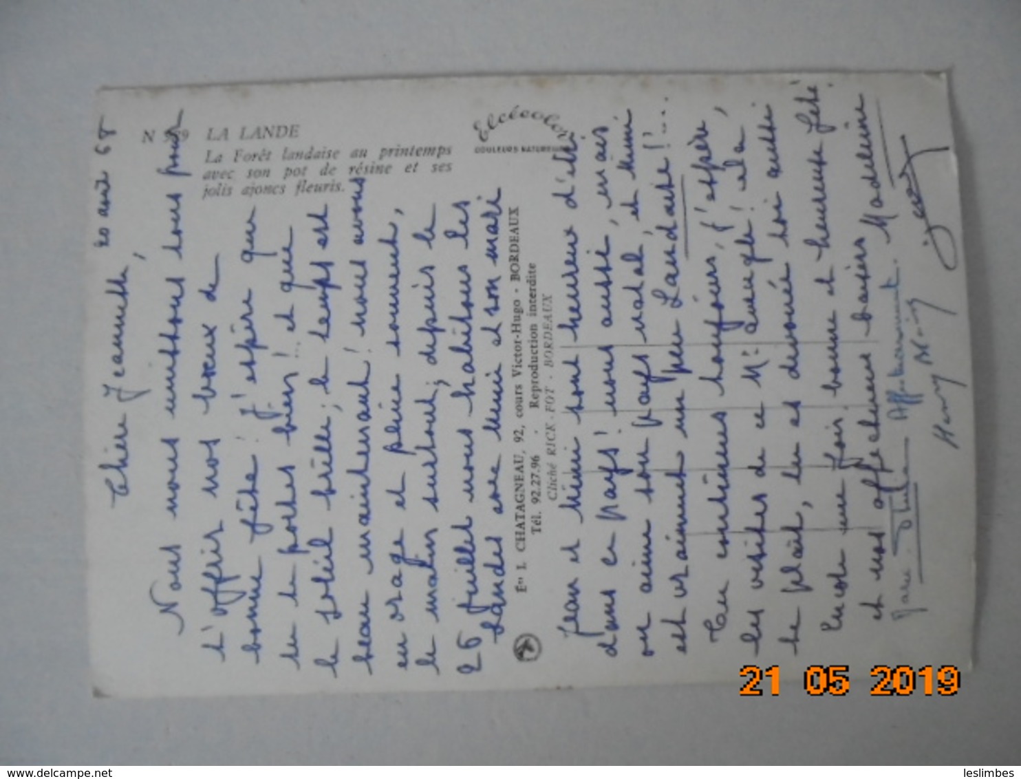 La Lande. La Foret Landaise Au Printemps Avec Son Pot De Resine Et Ses Jolis Ajoncs Fleuris. Elce N989 Dated 1968. - Other & Unclassified