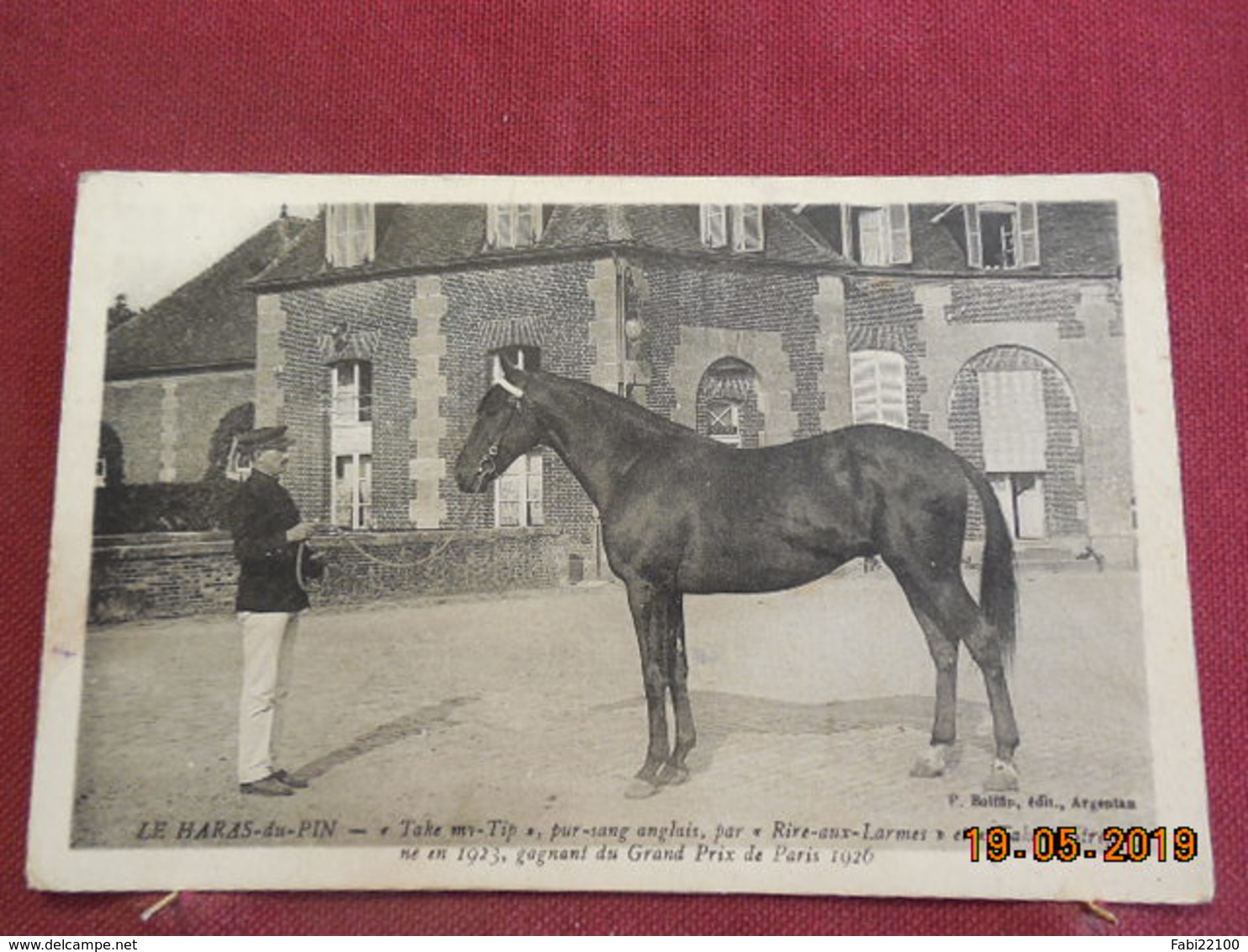 CPA - "Take My-Tip",  Etalon De Pur Sang Anglais Par "Rire-aux-Larmes" Et "Take-a-Strep" - Le Haras-du-Pin - Chevaux