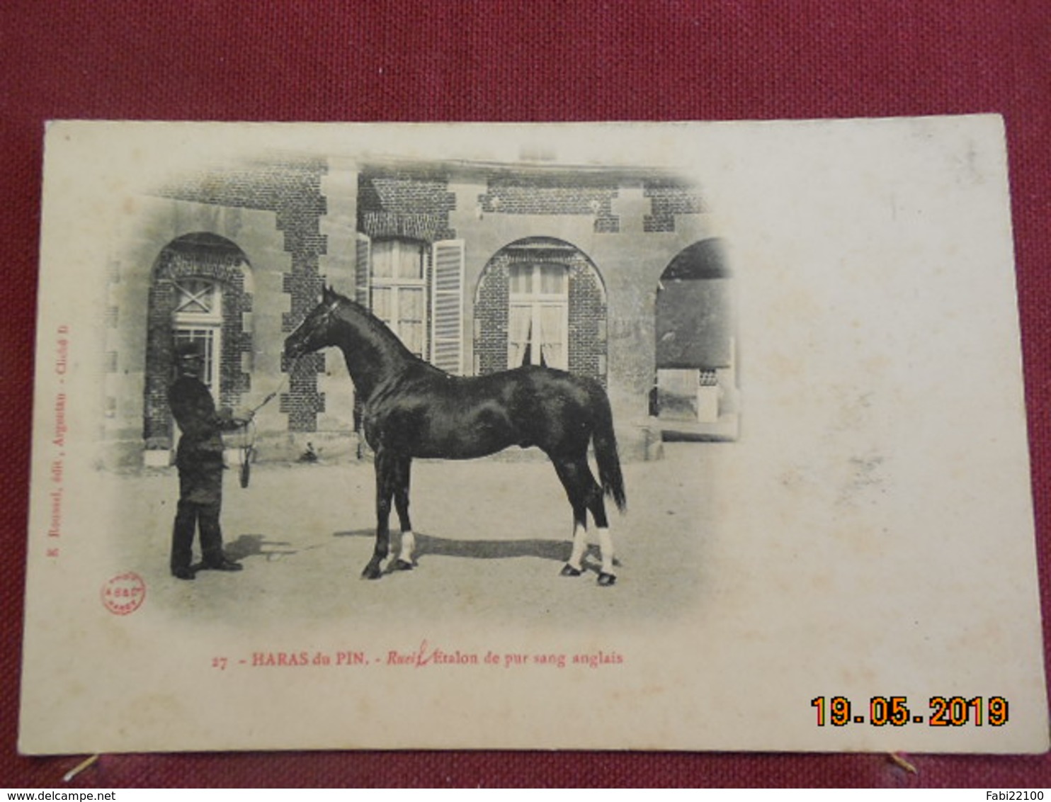 CPA - Rueil, Etalon De Pur Sang Anglais - Le Haras Du Pin - Chevaux