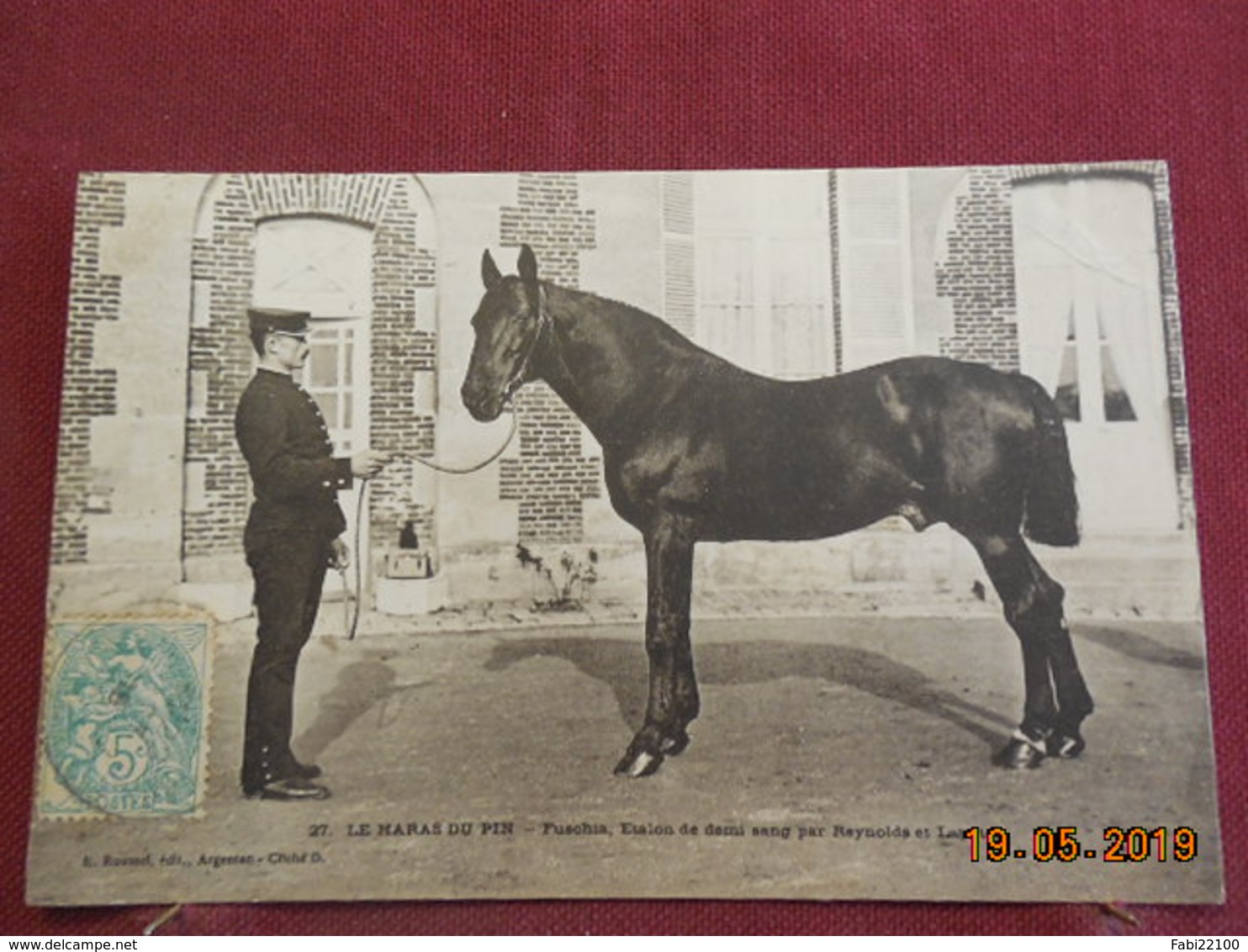 CPA - Fuschia - Etalon De Demi-sang Par Reynolds Et Lavater - Le Haras Du Pin - Caballos