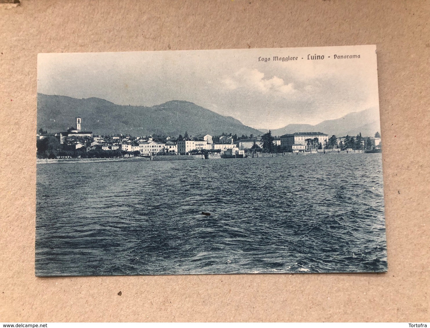 LAGO MAGGIORE  LUINO  PANORAMA - Luino