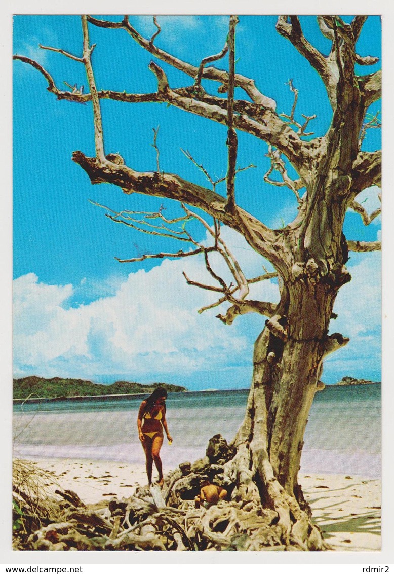 1685/ PRASLIN, Côte D'Or, Seychelles. - Non écrite. Unused. No Escrita. Non Scritta. Ungelaufen. - Seychellen