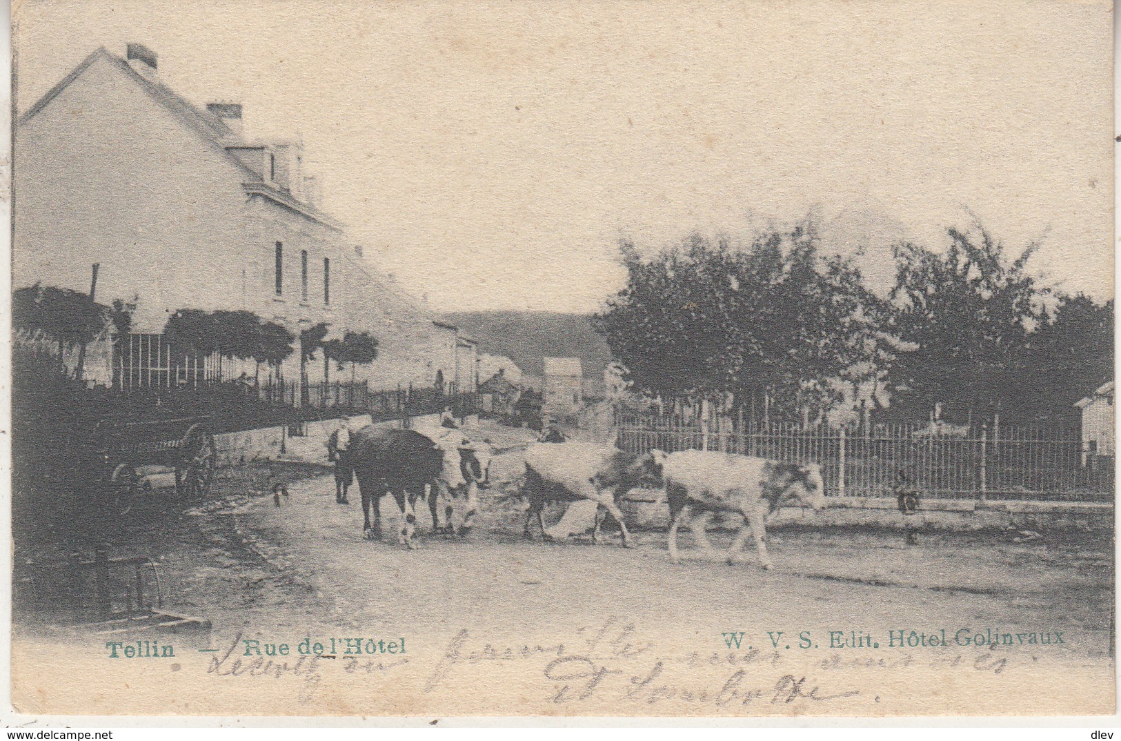 Tellin - Rue De L' Hôtel - Animé - 1906 - WVS Edit. Hôtel Golenvaux - Tellin