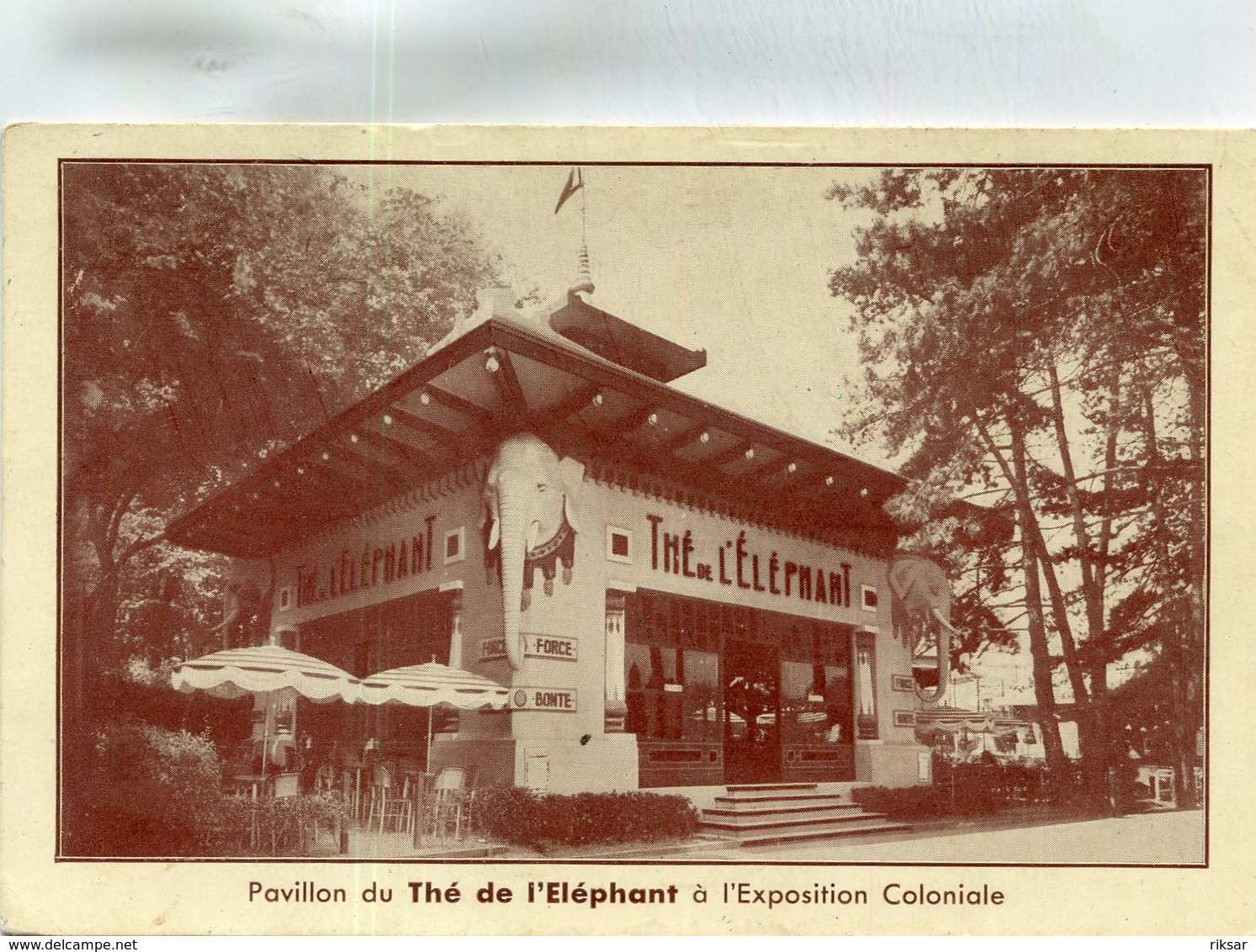 THE DE L ELEPHANT(EXPOSITION COLONIALE) TEA - Expositions