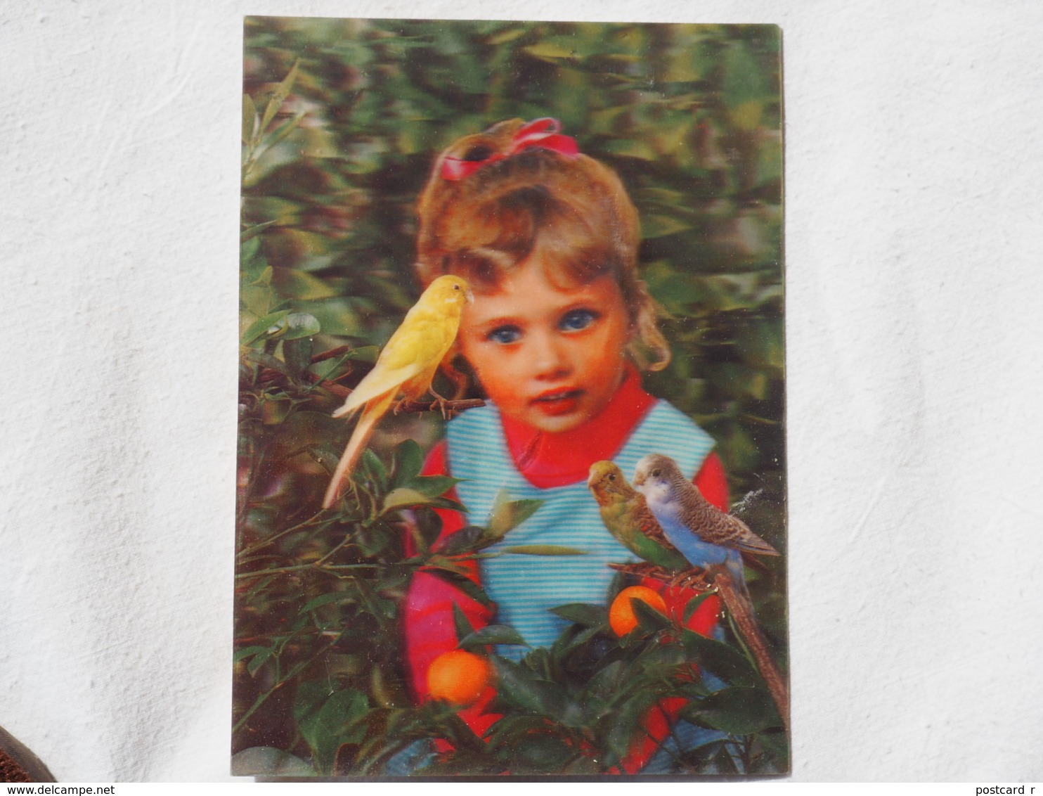 3d 3 D Lenticular Stereo Postcard Child And Parrots Toppan Japan 1976   A 190 - Cartes Stéréoscopiques