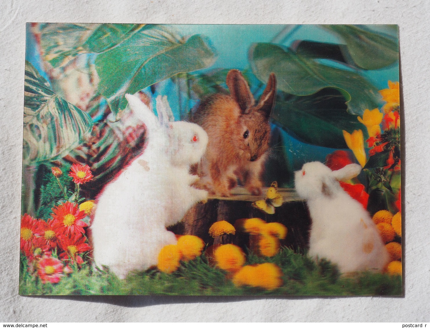 3d 3 D Lenticular Stereo Postcard Rabbits  Toppan Japan 1976   A 190 - Cartoline Stereoscopiche