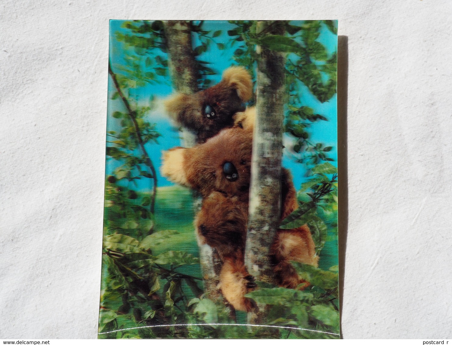 3d 3 D Lenticular Stereo Postcard Koala Bears  1969   A 190 - Stereoscope Cards
