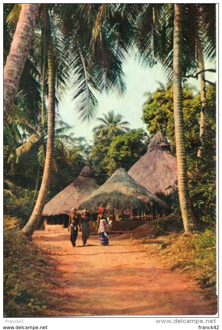 Village Sous Les Palmes. Grand Format - Non Classés