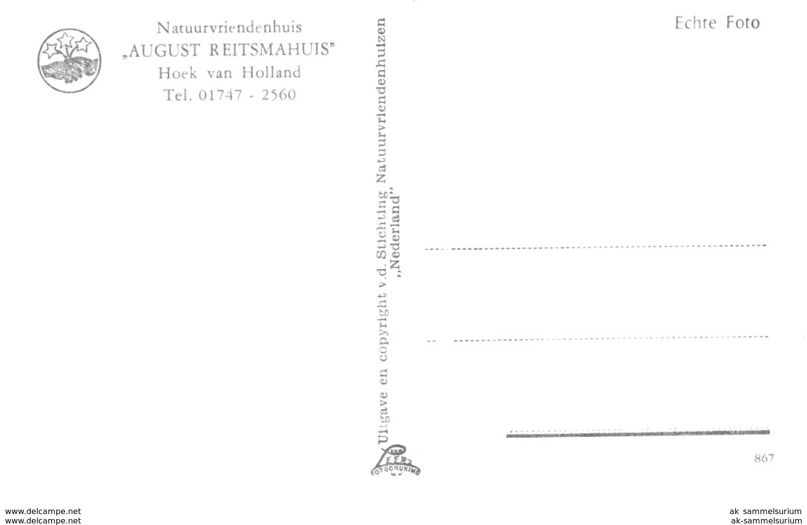 Niederlande / Naturfreundehaus / Hoek Van Holland (D-A295) - Hoek Van Holland