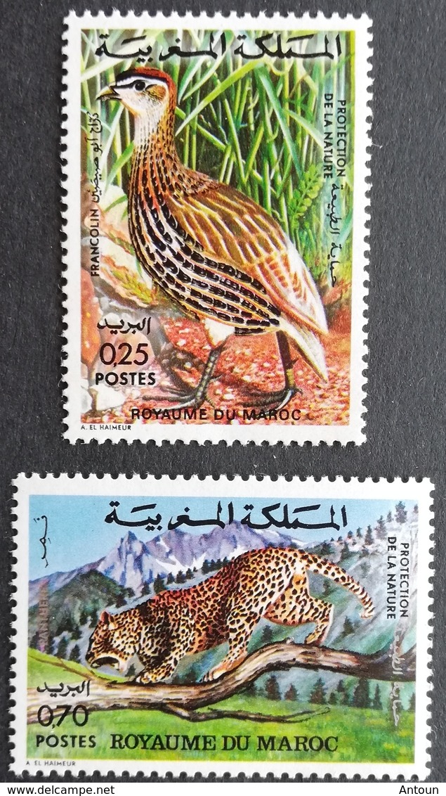 Morocco 1974 Nature Protection - Morocco (1956-...)