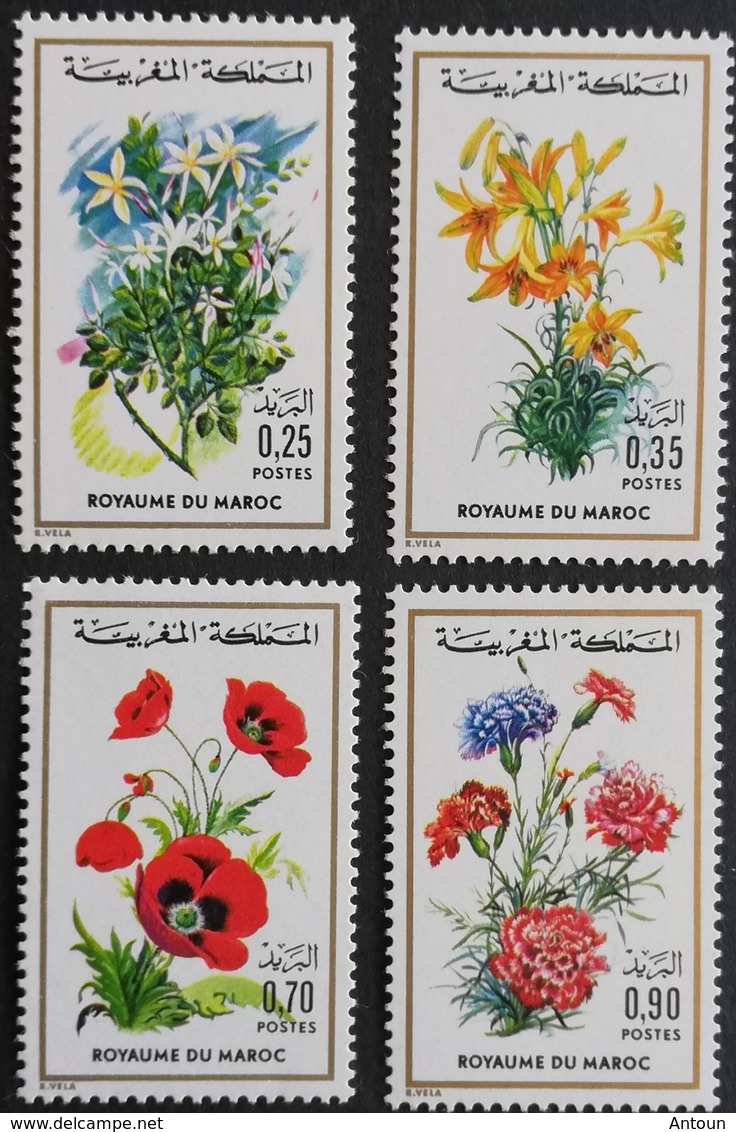 Morocco 1975 Flowers LOT - Morocco (1956-...)