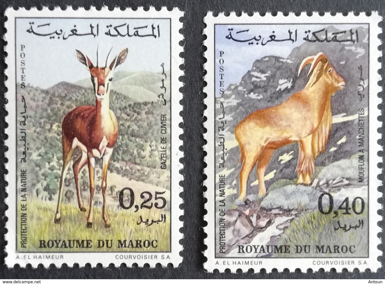 Morocco 1972 Nature Protection - Morocco (1956-...)