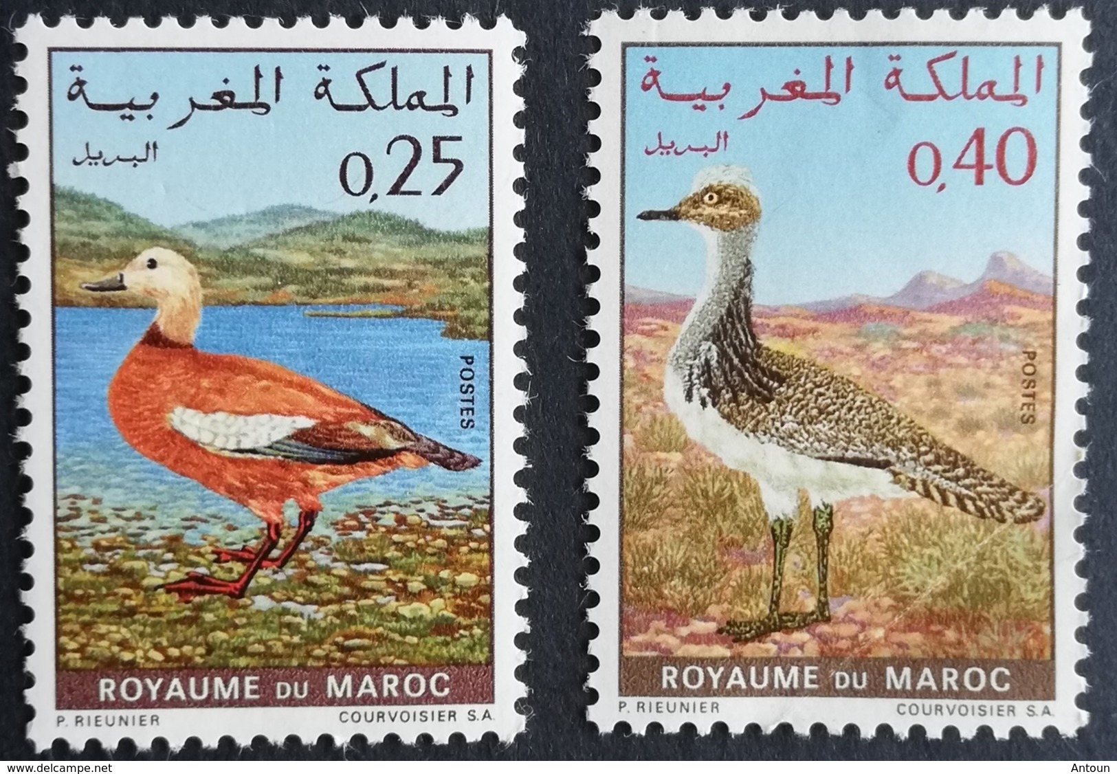 Morocco  1971 Campaign To Save Morocco Wildlife - Morocco (1956-...)