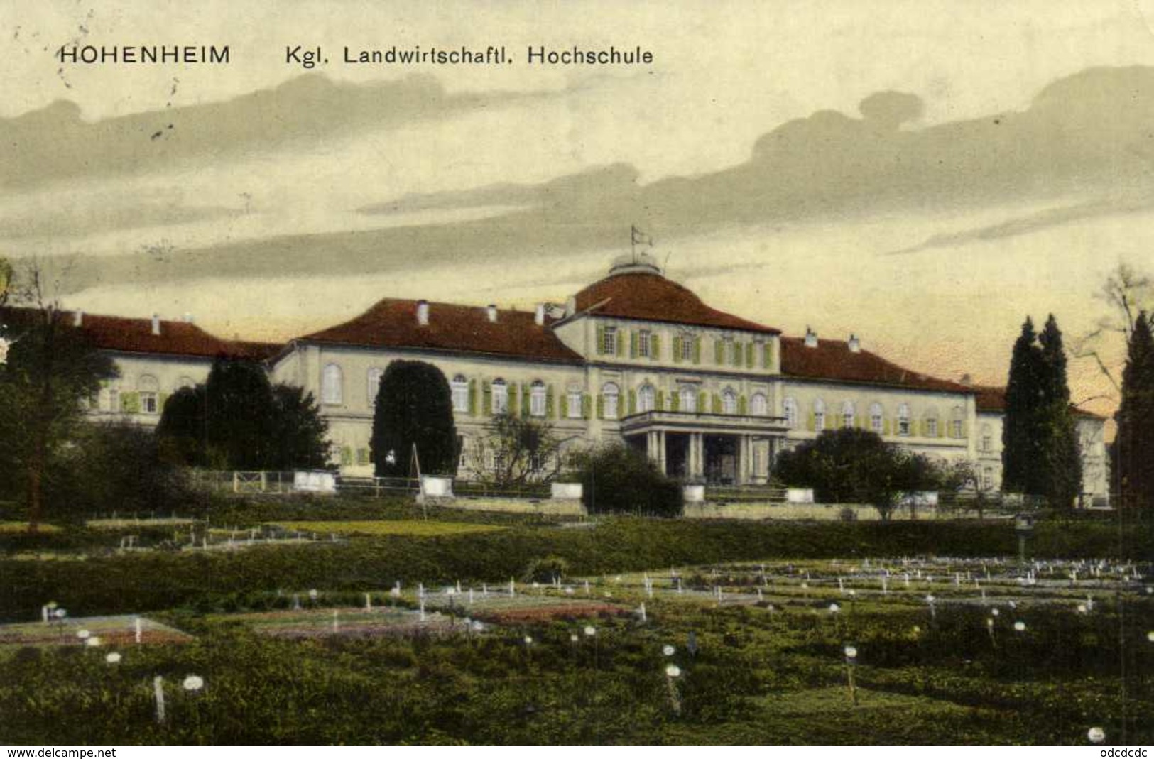 HOHENHEIM  Kgl Landwirtsschafil Hochschule Colorisée RV - Stuttgart