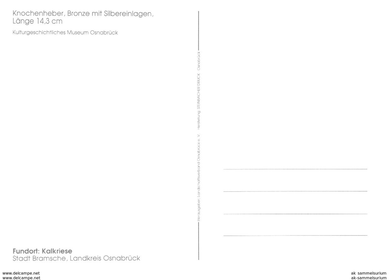 13 AK Museeumsstücke / Artefakte / Osnabrück / Münzen / Knochenheber  (D-A296)