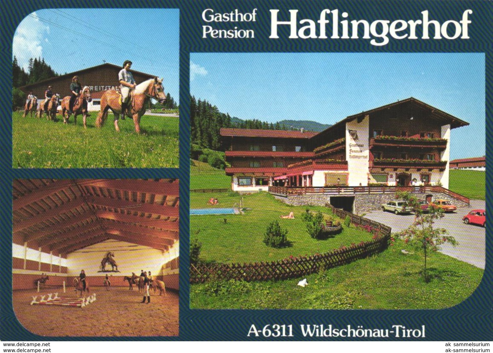 Wildschönau / Haflingerhof / Pferde (D-A301) - Wildschönau
