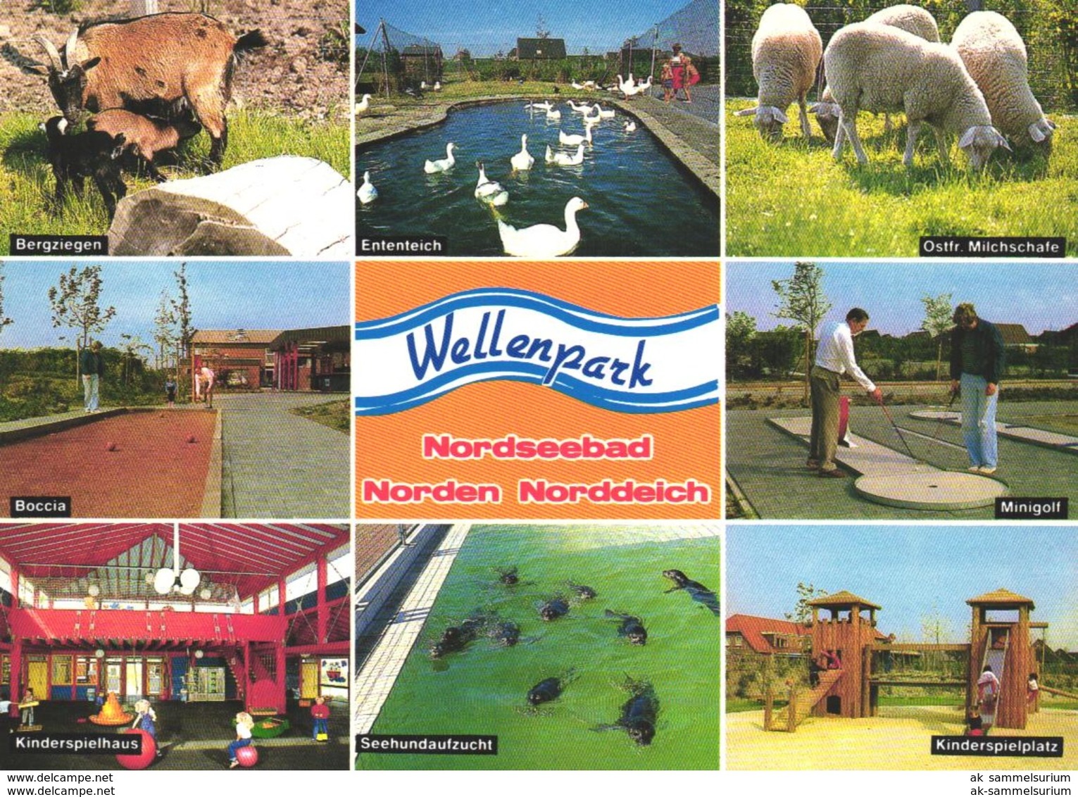 Norden / Norddeich / Wellenpark / Amusement Park / Freizeitpark (D-A303) - Norden